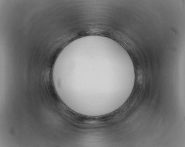 X0000113990514200910021012