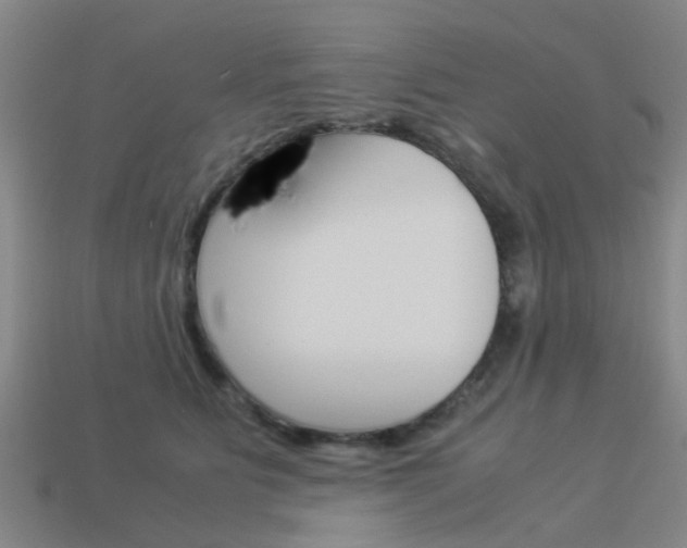 X0000113990515200910021012