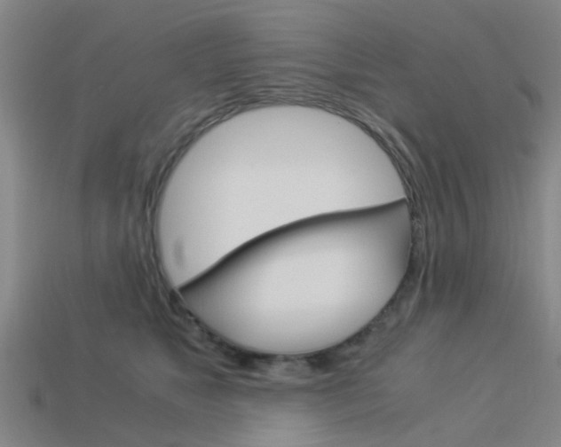 X0000113990517200910021012