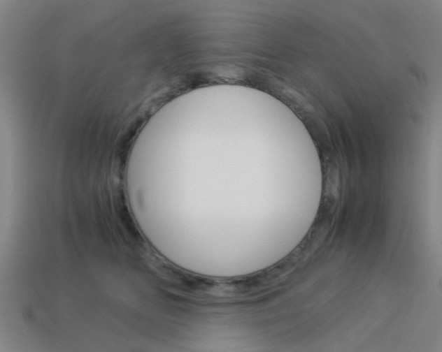 X0000113990518200910021012