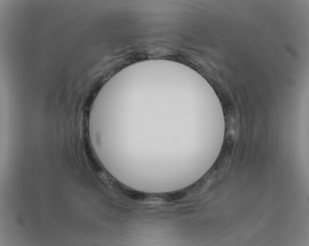 X0000113990519200910021012