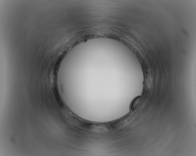 X0000113990520200910021012