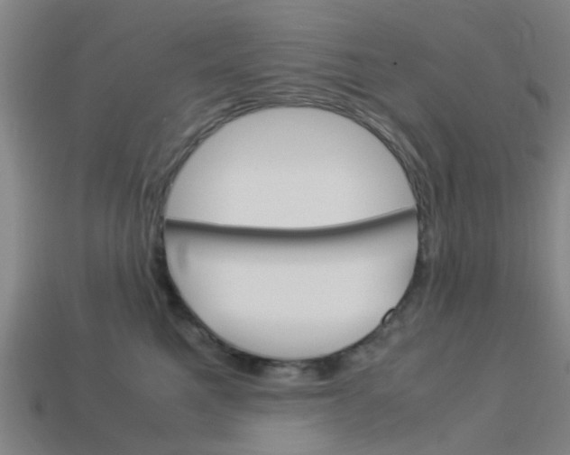 X0000113990521200910021012