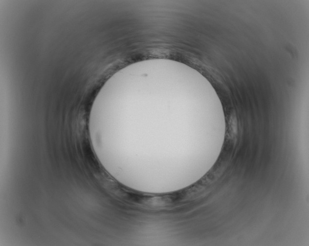 X0000113990522200910021012