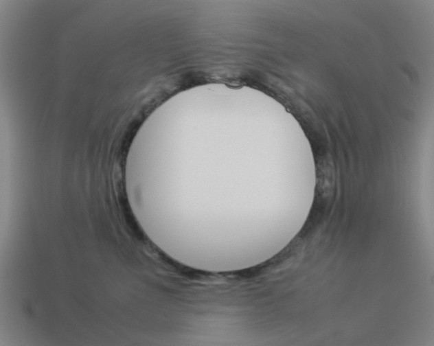 X0000113990523200910021012