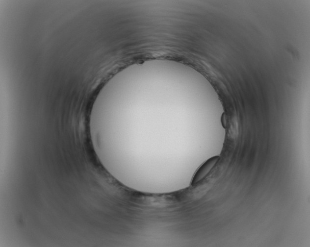X0000113990524200910021012