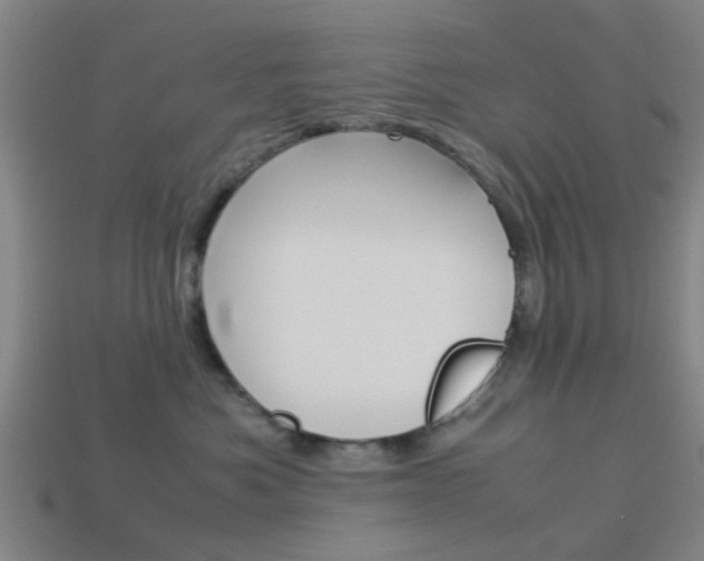 X0000113990525200910021012