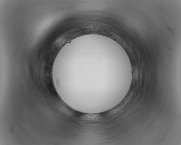 X0000113990526200910021012