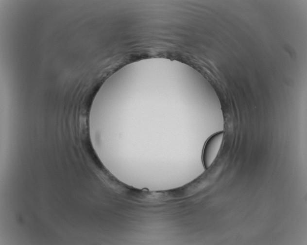 X0000113990527200910021012