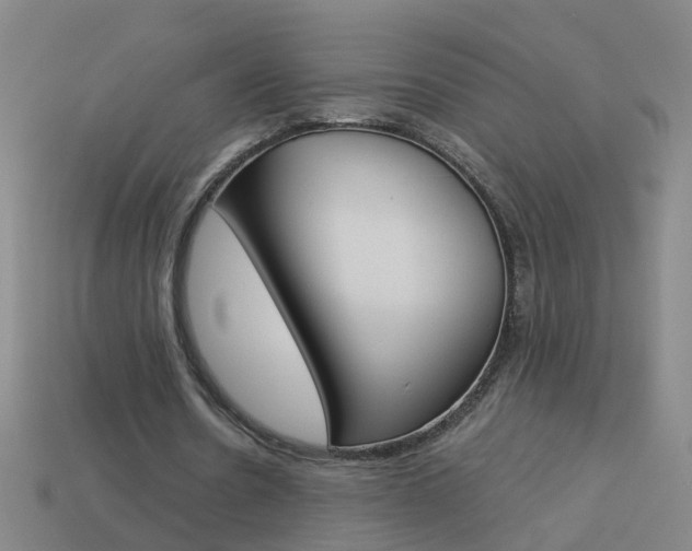 X0000113990530200910021012