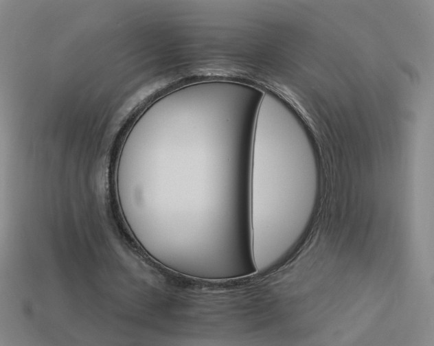 X0000113990531200910021012