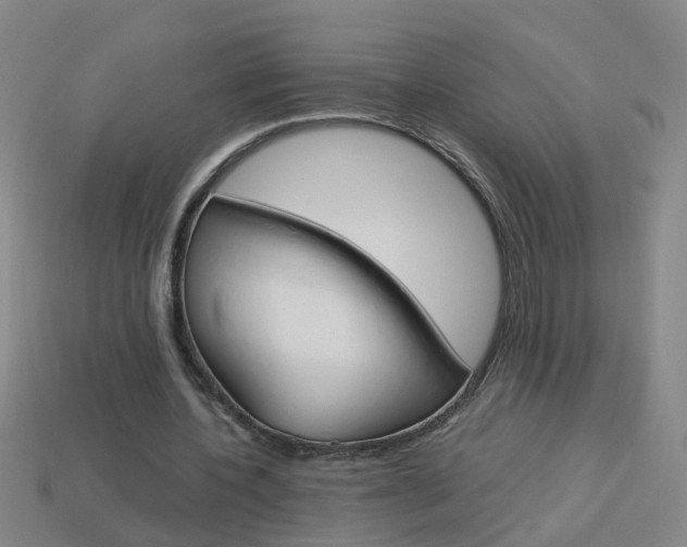 X0000113990532200910021012