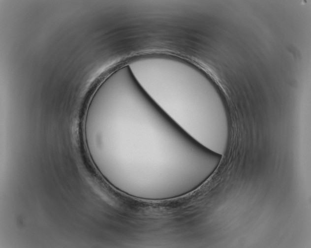 X0000113990535200910021012