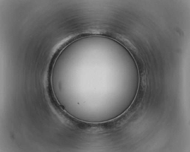 X0000113990536200910021012