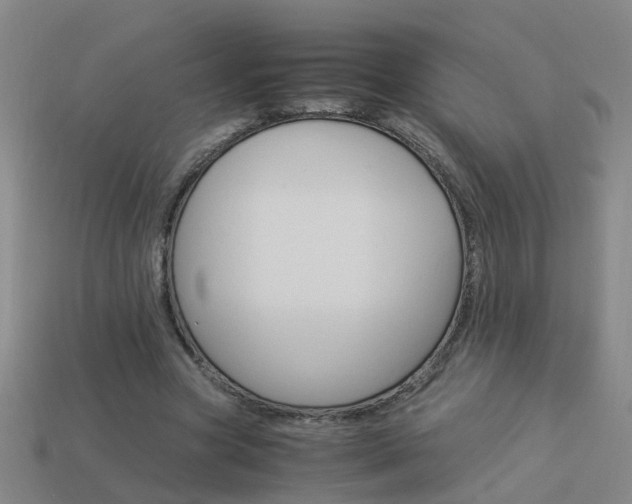 X0000113990537200910021012