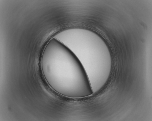 X0000113990538200910021012