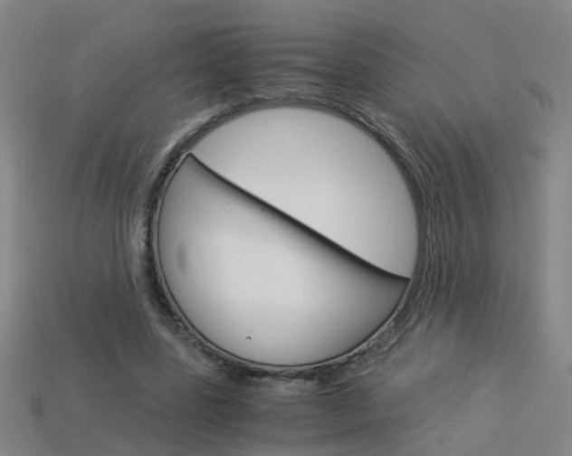 X0000113990539200910021012