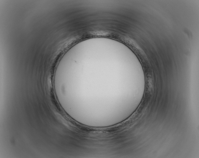 X0000113990541200910021012