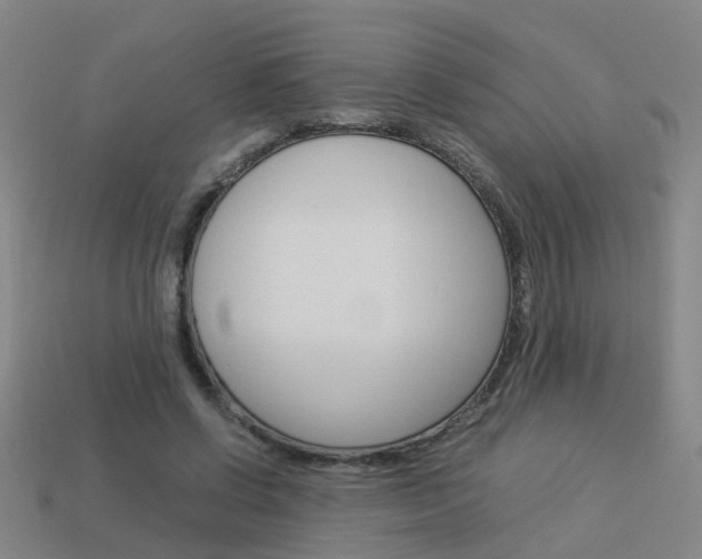 X0000113990542200910021012