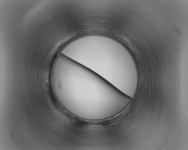 X0000113990543200910021012
