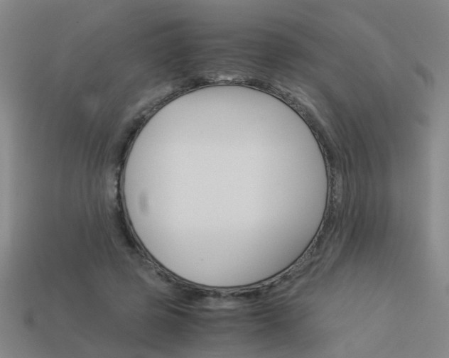X0000113990545200910021012