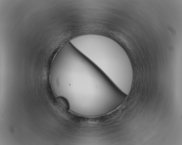X0000113990546200910021012