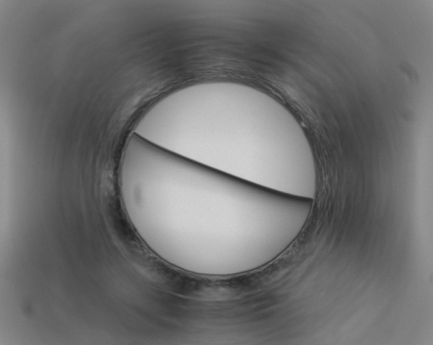 X0000113990547200910021012