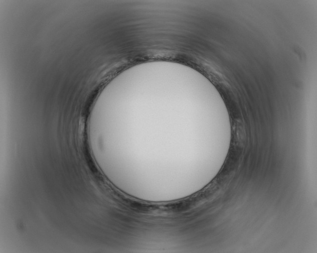 X0000113990550200910021012