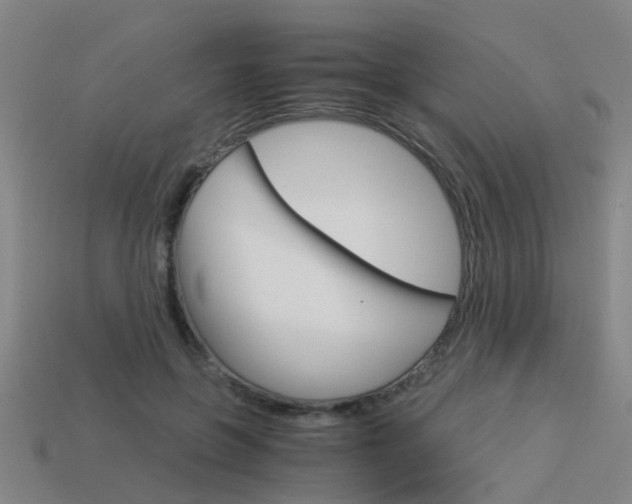 X0000113990551200910021012