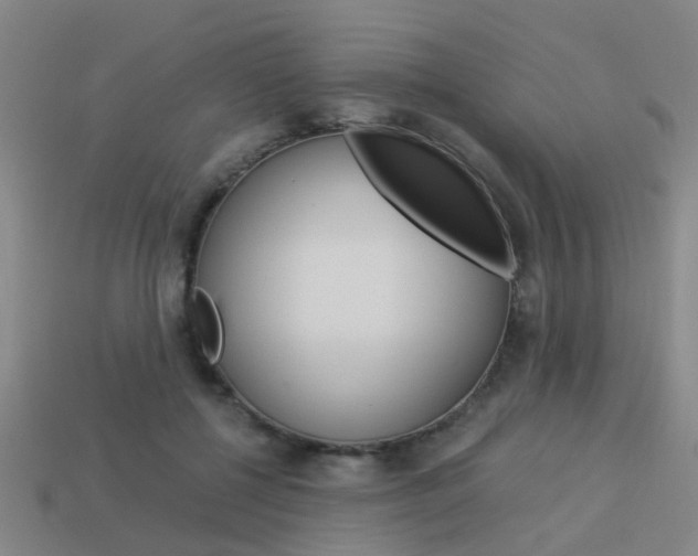 X0000113990552200910021012