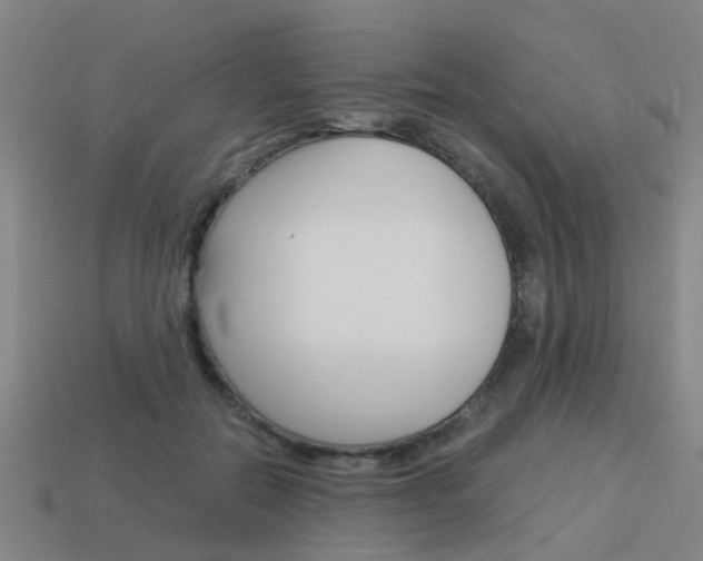 X0000113990554200910021012