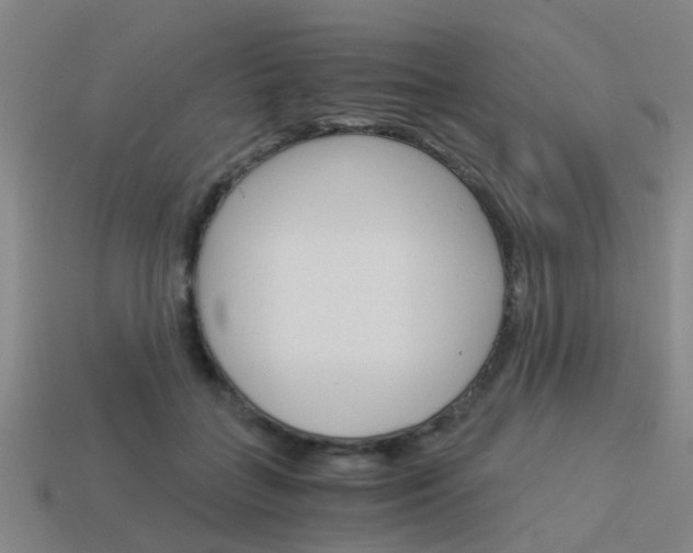 X0000113990555200910021012