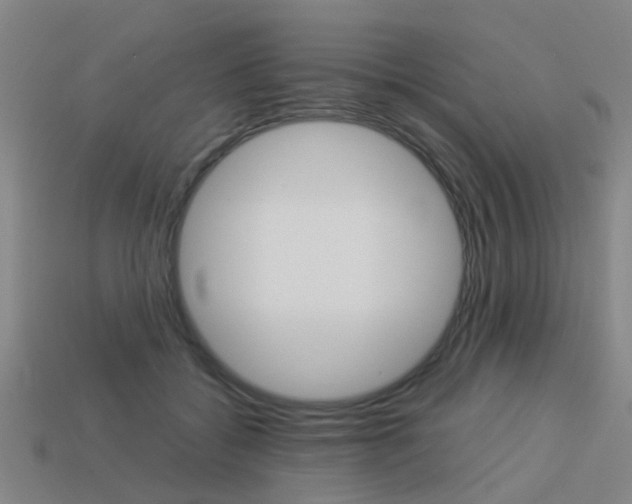 X0000113990556200910021012