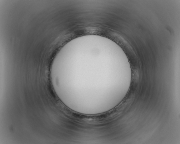 X0000113990557200910021012