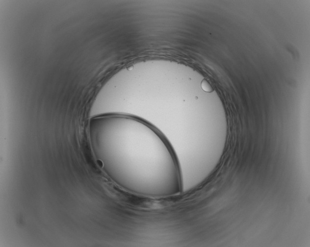 X0000113990558200910021012