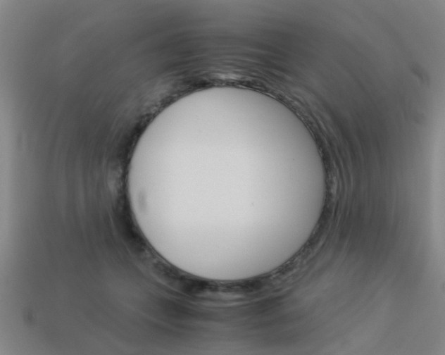 X0000113990559200910021012