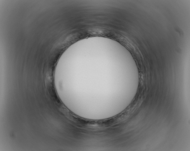 X0000113990561200910021012
