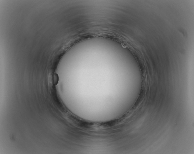 X0000113990562200910021012