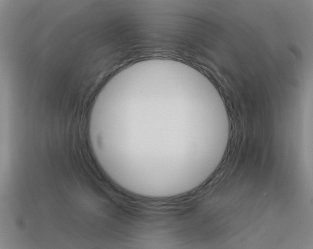 X0000113990564200910021012