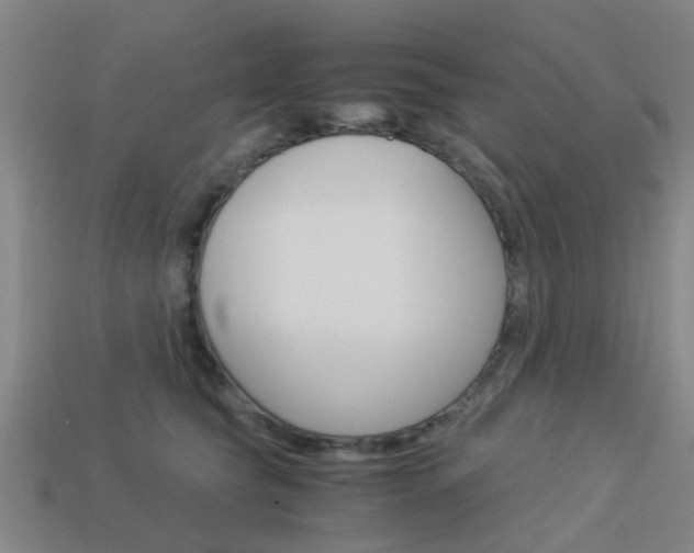 X0000113990565200910021012