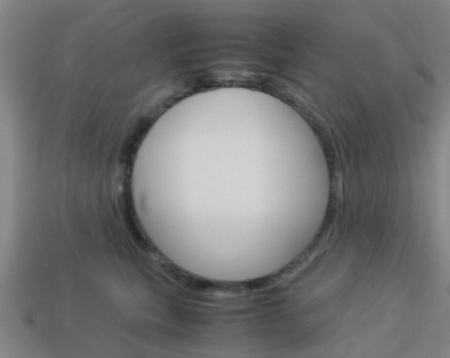 X0000113990567200910021012