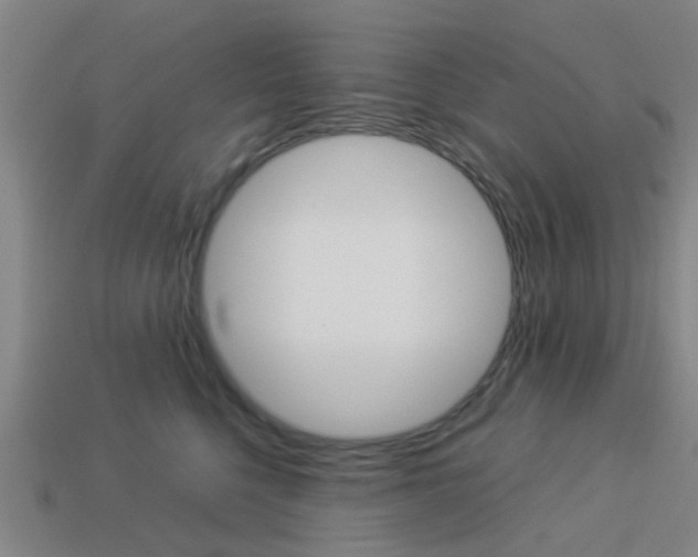 X0000113990568200910021012