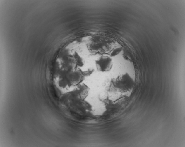 X0000113990569200910021012