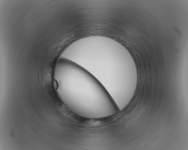 X0000113990570200910021012