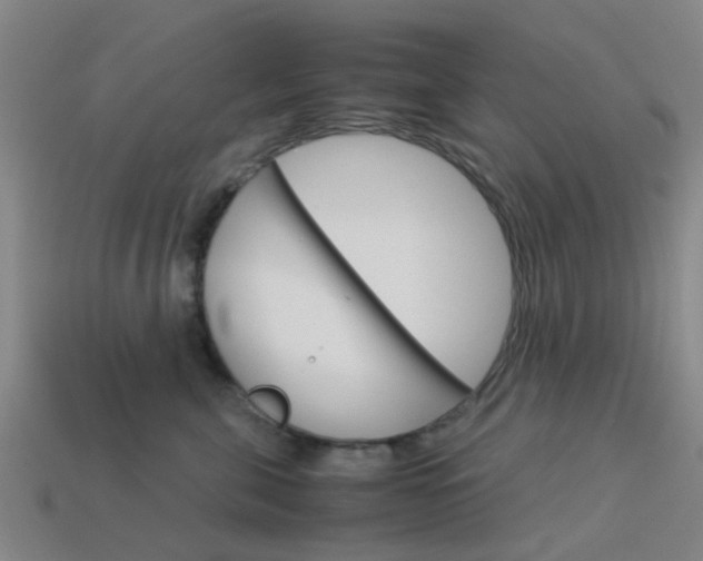 X0000113990571200910021012