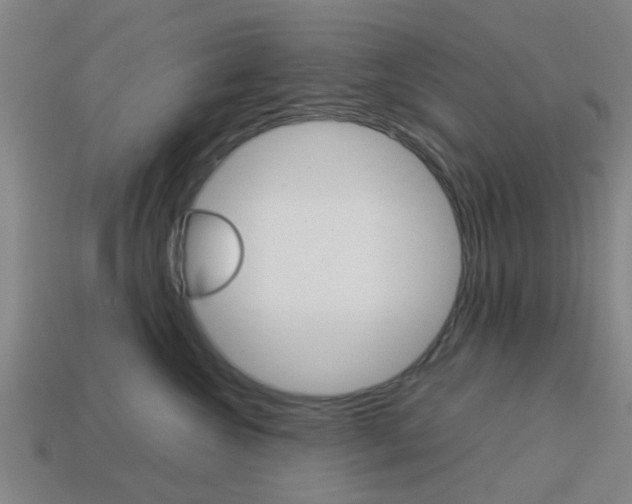 X0000113990572200910021012