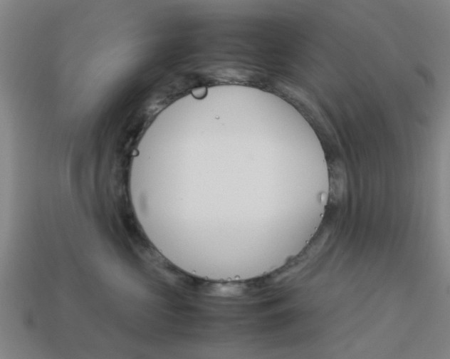 X0000113990573200910021012