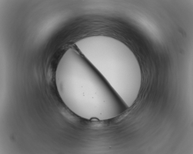 X0000113990574200910021012
