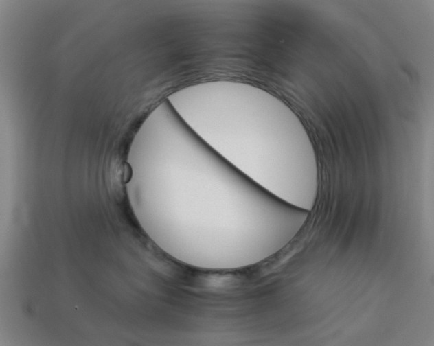 X0000113990575200910021012