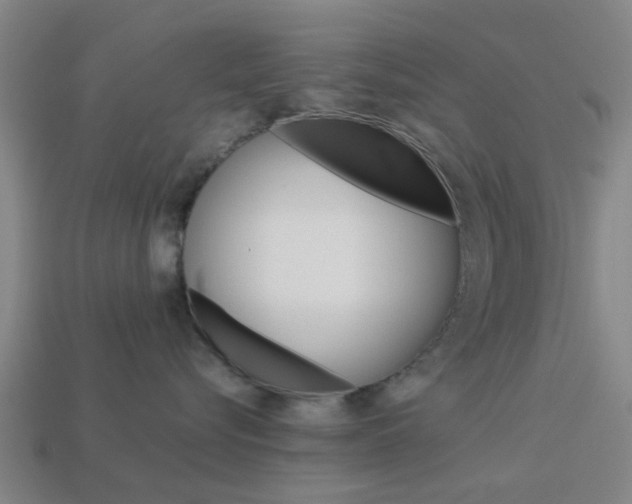 X0000113990576200910021012